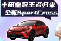 法兰克福德甲之光-开云电竞官网