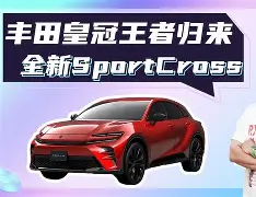 法兰克福德甲之光